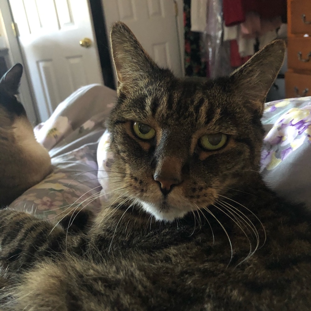 Meet your Posher, Linda